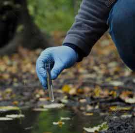 Bacteria Removal